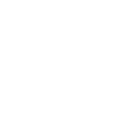 Virnich Solutions - X.com